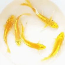 ��ؔ��ˮ���~�\���S�����P���B���~��ˮ���~�ͻ��^�p�~�Lˮ�~��