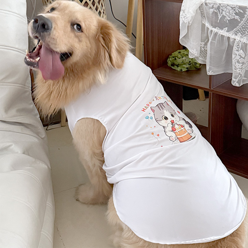 흰 조끼 생일 시리즈 딸기 케이크를 먹는 고양이