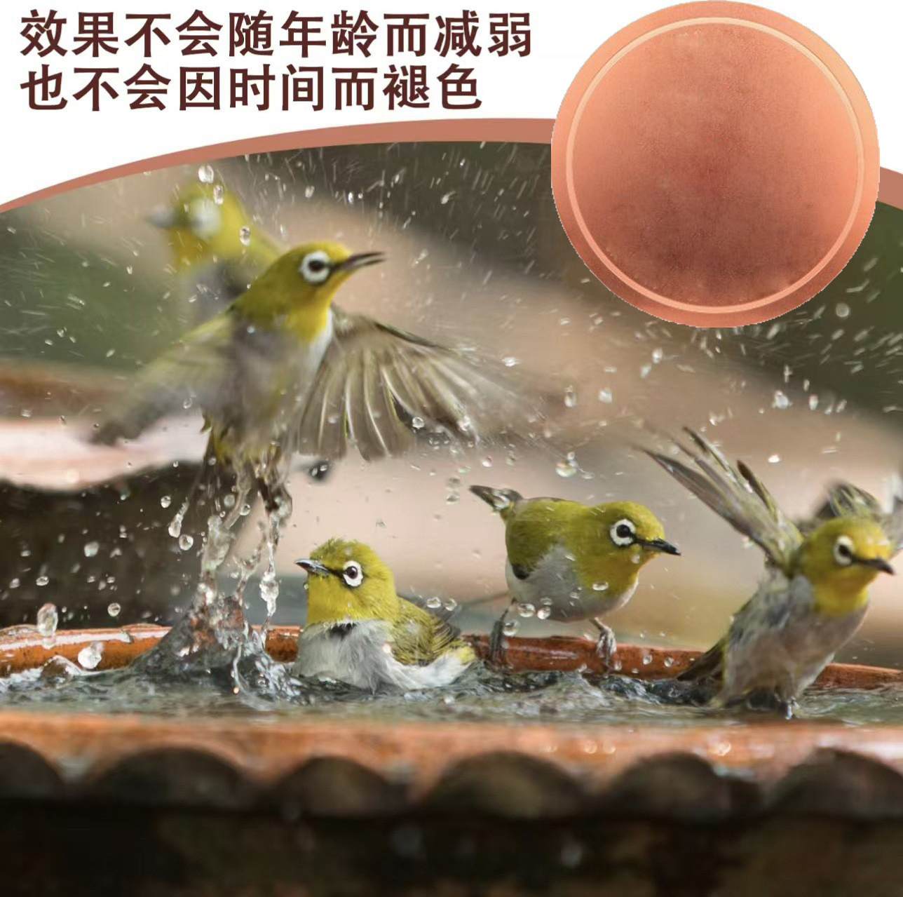 O1CN01kHHgKh1umh9AbgiJK_!!9993