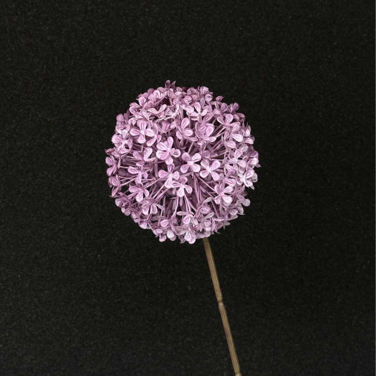 Bola de cebolla púrpura