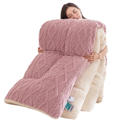 Solid color taffeta winter quilt thickened warm quilt lamb velvet cotton quilt student dormitory milk velvet quilt core