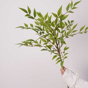 ���WԊ�����Gֲ������٘�֦�҃�����쾰�b廨�[���zӰ����