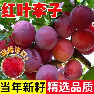 �t�~���ӷN�Ӵ������~���Ә������ļ�ˮ��ԭ�b�N�Ӵ�ȫ���]����