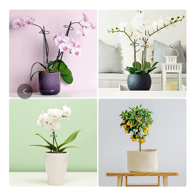 微信图片_202108061011233