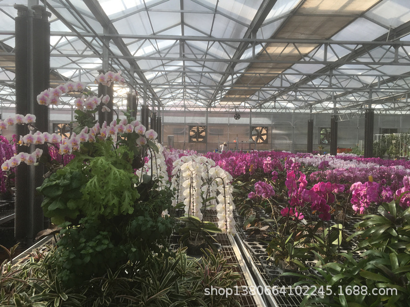 70cc1b6f395bcc3a3cdd7b1caf86da