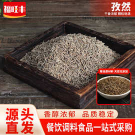 孜然香料批发饱满大颗粒孜然烧烤卤味炖肉烤肉调味香辛料厂家直供