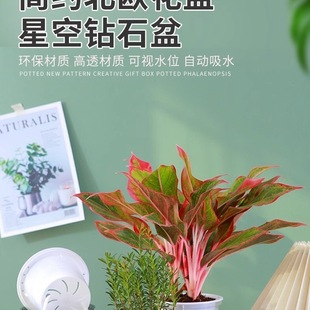 Wˮ͸Ԅˮ簲G}WsmGֲ