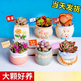 ����ֲ��С���Դ��w���B�Ժðl؛�҃��k������¶�ҵ�����������