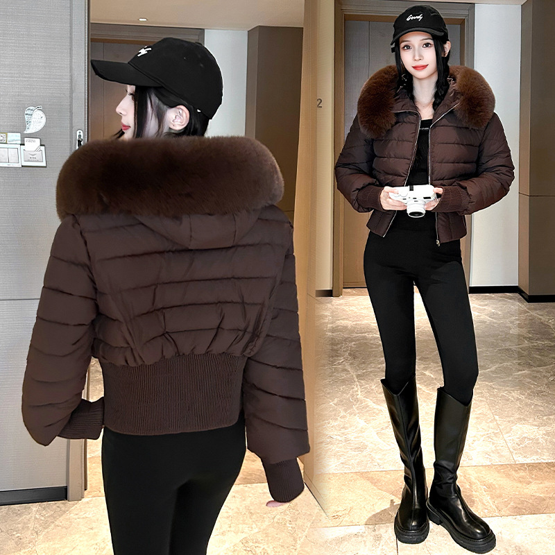 Otoño y invierno ins Europa y América cuello de lana ropa de algodón casual delgada cuello de lana de mujer abrigo de pluma con capuchón corto