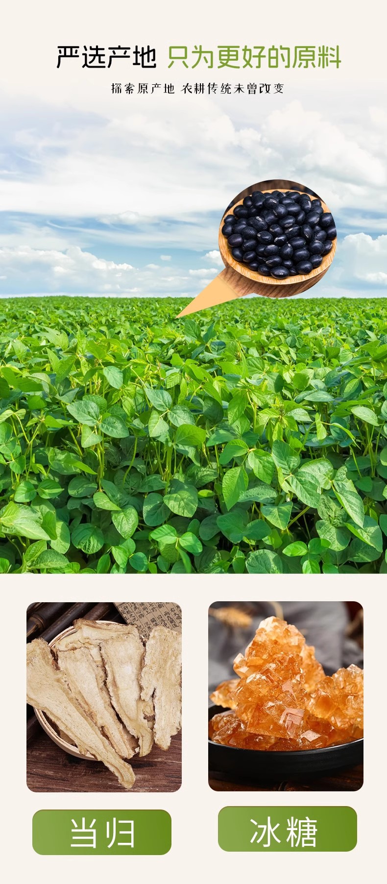 Dang Gui Black Beans 200g Roasted Ready to Eat Snack quality and texture
