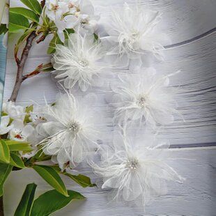 ���ɚW������ë�������w�ֿp��Ƭdiy�鼆���b�o�����l�������Ʒ