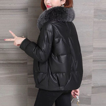 2025Ƥ�¾d��Ƥ��������ë��q��Ů�¿��n�挒�ɶ̿���Ƥ��ɫ���]