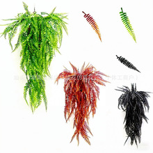 �羳����ڒ� ����ֲ�� ��˹�~ ާ� �������쳣�����bGɫֲ��