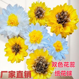 С�r�ռ������p�ӻ��（�����羳�̈���Y�����b����������򼈻�