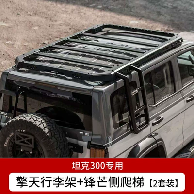 Roof rack Prime Luggage Rack Roof Platform - tank-300-mk-qingtian-luggage-rack-sharp-side-ladder