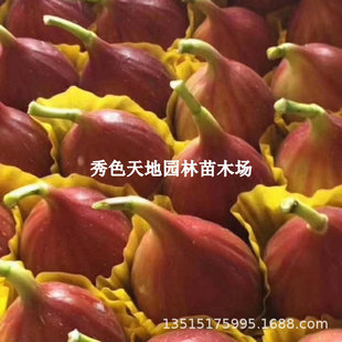 �t�����o����������Ї��Ϲ��o���������ļ��Ϸ������Nֲ����Y��