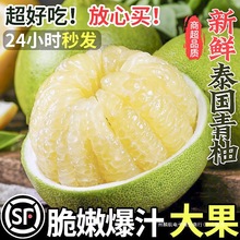 ����̩��������Ƥ���������ЋD���r�S�C���f�����M�����������