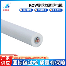 ROVˮ�C�����㸡����|Ư����|����̽�yˮ������C������|