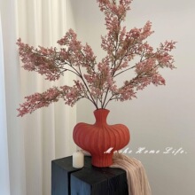 �Գ��Gֲ�ͮ���֦�Fڡ�����L�Շ����҃��b����Ĕz����