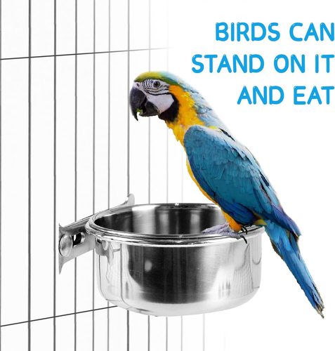 Parrot food cup stainless steel food bowl food box food bowl water basin water cup trough bird special feed anti-spill food cup