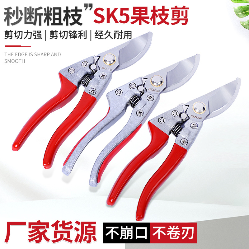 修枝剪 家用省力SK5园艺花枝剪园林果树粗枝剪摘果剪批发