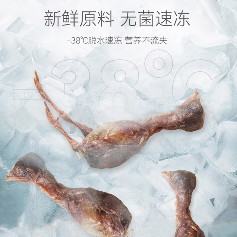 Alimentos nutritivos para perros adultos, perros, perros