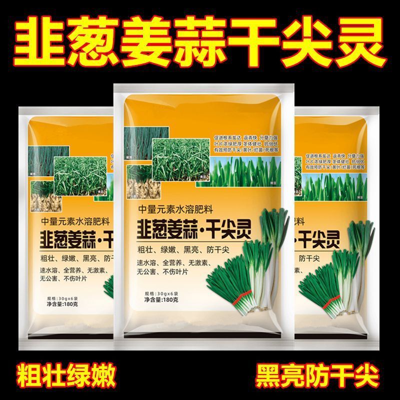 韭葱姜蒜干尖灵大蒜姜大葱韭菜干尖专用肥农用尖绿叶增长叶面肥料|undefined