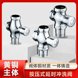 厕所冲水阀手按式蹲便器按压冲洗阀卫生间延时阀门开关大便池蹲坑