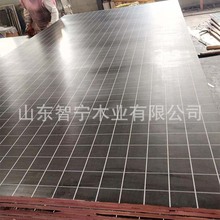 ľӰ15mmľγͲӰ һо|l؛|