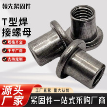 cncӹ Tͺĸ̨AAĸiĸmPAĸFt