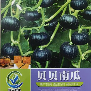 Сؐؐ�ϹϷN���s���N���ϹϷN�Ӳˈ@�r�ҷN��Ŵ�ϹϷN��ؐؐ����