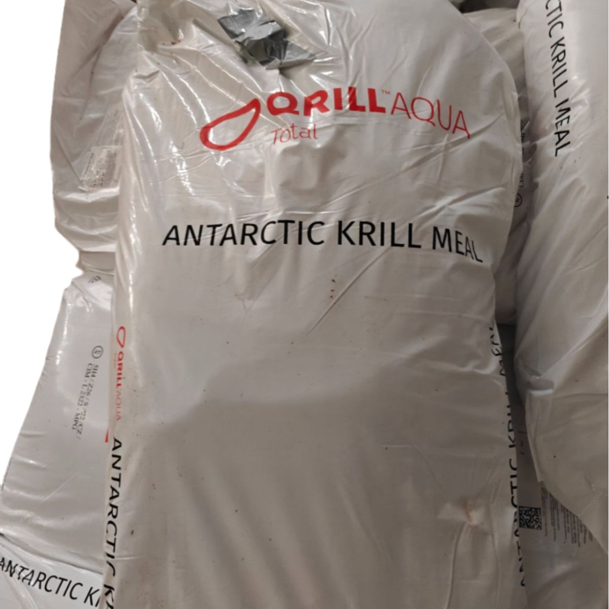 2024-12-04 23:23:44.jpg