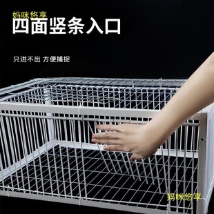 ��������\���ӻ\ײ�T��j�T���\�F�\ֻ�M�������\����Ԅ��T