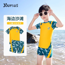 ��ͯӾ����ͯ���w2026�¿��д�ͯ���I�����ӾӖ���b���Ȫ���b��