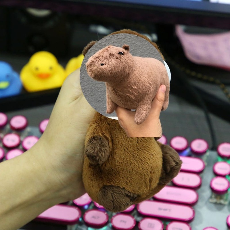 震える音の同じタイプのカピバラはパチパチと腹ばいになって腕のぬいぐるみを抱いています。|undefined