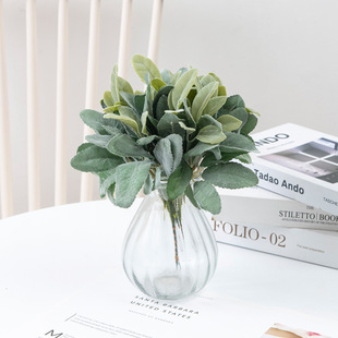 ����ֲ�� ֲ�q��֧����~�����~ ɭϵ�廨�bGֲ���յ������l