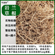 岩兰草 岩兰草根 干岩兰草晒干岩兰草兰岩草做纯露精油中药材大全