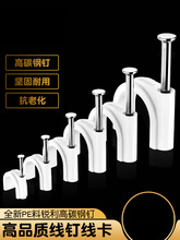��ᔾ�����늾��̶����������Ͽ��۾W����Ӡ�ᔿ�ᔲ������R�
