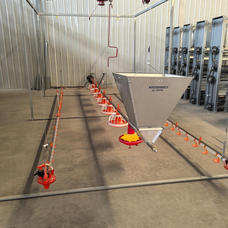línea de alimentación plana de alimentación de tierra línea de alimentación de agua línea de alimentación de gallinas máquina de alimentación y equipo de cría de dragón de corte para gallinas