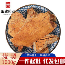 ��ș�Ĵ�ȫ����1000�� ������؛��ș������  һ�����l��ș������