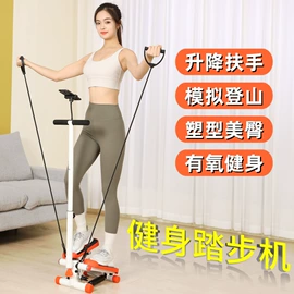 跑步机;踏步机;其他健身器材