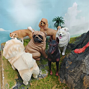 �羳������ͯ�J֪����Ȯ�ɪ{Ȯ���eȮ�˸繷����Ȯģ���b�