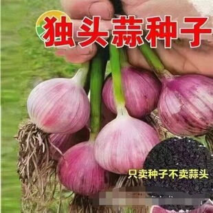 ���^��N����N�����Ƥ���^��N�Ӫ�����Nһ��ԭ�N��Ѿ��N��