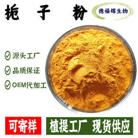 栀子粉栀子提取物水溶固体饮料免费拿样源头工厂1kg起批发零售