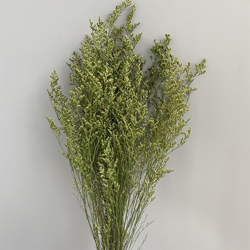 Perennial Love Grass Dried Flowers, Forest Style Real Flower Bouquet, Home Decor Flower Art Floral Arrangement Material, DIY Craft Supplies