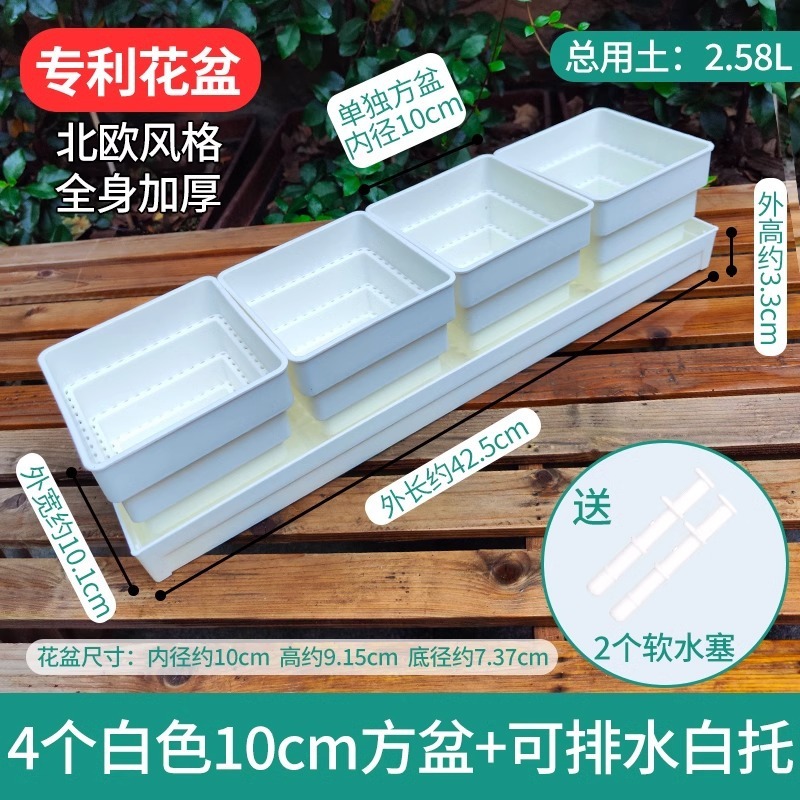 樹脂多肉植木鉢大口径小白角コンビネーション台座付きトレープラスチック通気植物専用根付き鉢|undefined