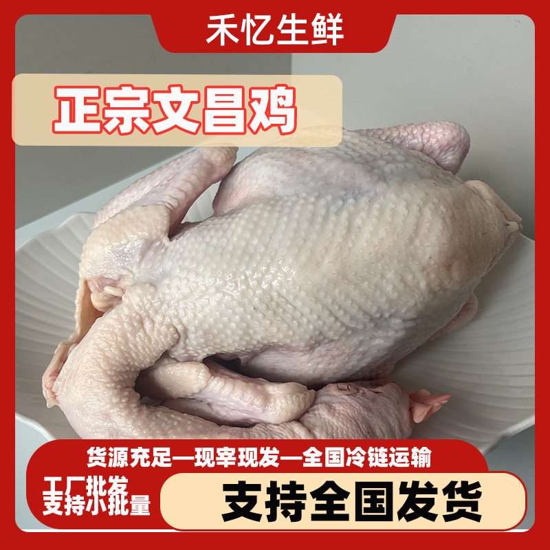 文昌鸡海南特产新鲜生鲜白切鸡农家散养走地鸡草鸡笨鸡顺丰椰子鸡