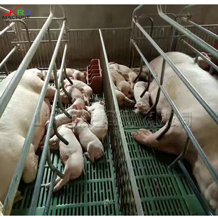 改良型母猪产床 自动控温产崽床 双体母猪产床 镀锌管母猪产床