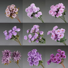 ���Q��ɫϵ���ķ��滨���Ż�·����ˇ�bٻ��Ƽtɫ��c�b�ˇ