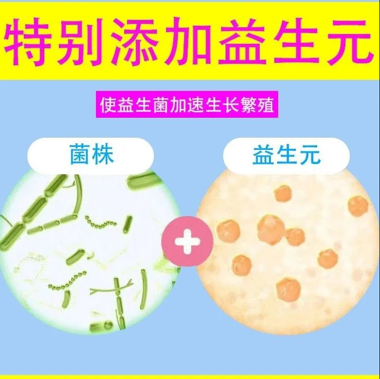 益生菌南京同仁堂益生菌凍結乾燥粉益生元腸管益生菌卸売り益生菌カスタマイズ|undefined